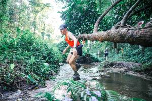 BIB: 
                            <button type="button" onclick="openModal(25430496)" class="btn btn-primary btn-sm float-right btn-popup" data-toggle="modal" data-target=".modal-high-quality">
                        <i class="fas fa-shopping-cart"></i> Add to Cart
                    </button>
                                            <button type="button" onclick="isThisMe(25430496, true)" class="btn btn-success btn-sm float-right btn-popup btn-isme hidden" data-toggle="tooltip" data-placement="bottom" title="นี่คือรูปของคุณใช่ไหม คลิกที่นี่เพื่อเอาเข้าอัลบั้ม">
                        <i class="fas fa-plus"></i> Add to album
                    </button>
                    <button type="button" onclick="isThisMe(25430496, false)" class="btn btn-warning btn-sm float-right btn-popup btn-isnotme hidden">
                        <i class="fas fa-ban"></i> Remove from album
                    </button>